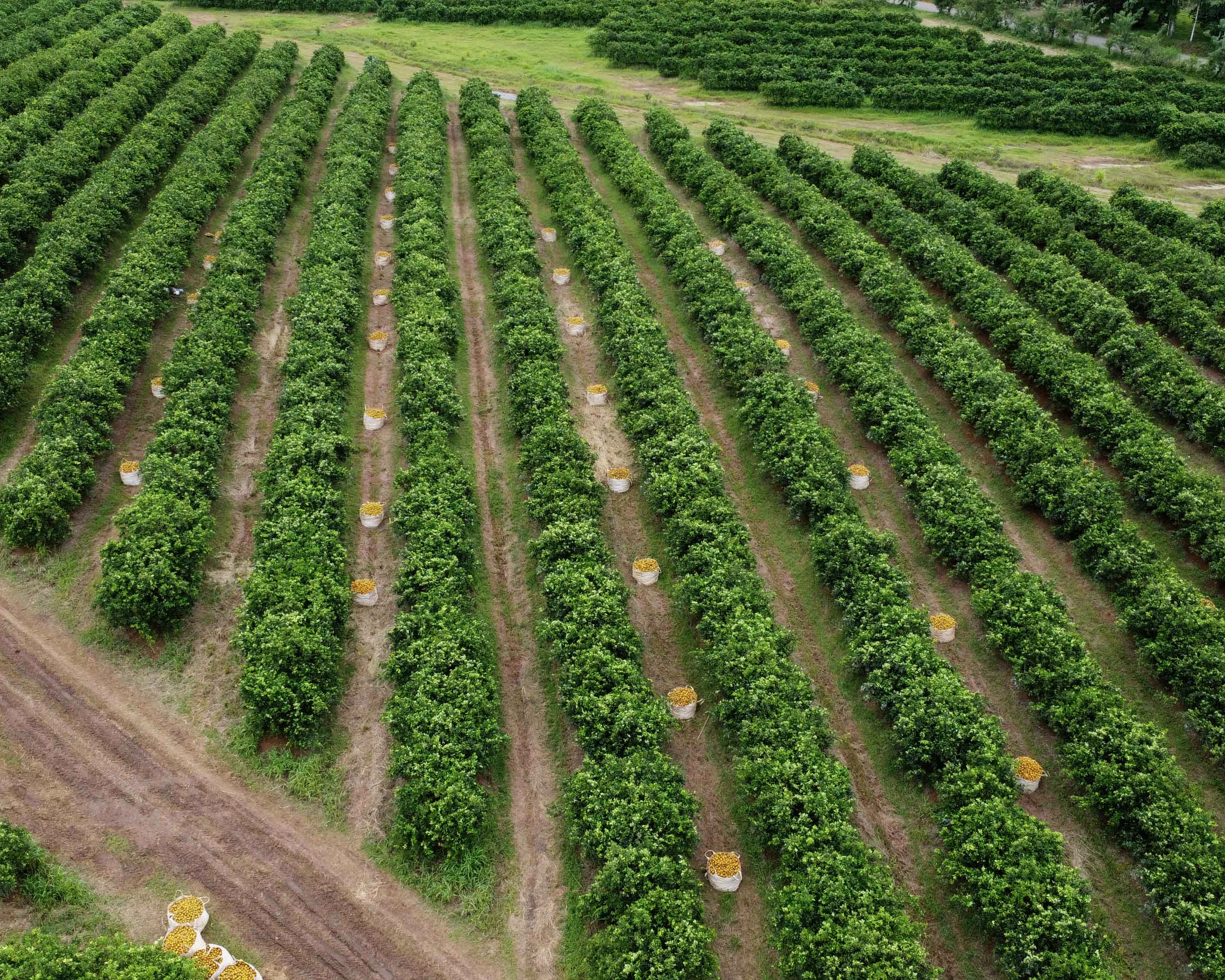 Focusing on agriculture