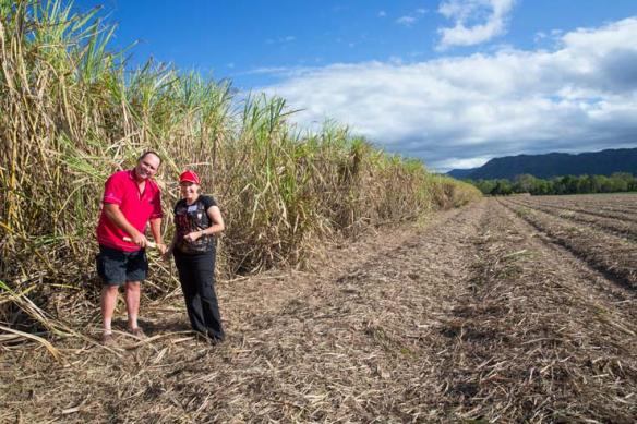 Sugarcane Growers Protecting Our Reef